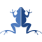 Blue Frog Roofing Limited - Colorado Springs