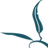 Blue Gum Community School
