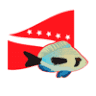 Centro De Buceo Blue Life