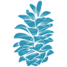 Blue Pine Travels