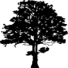 Pond Mountain Game Lands