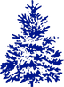 Blue Spruce Realty Inc