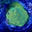 Bluewater Reef Aquatics, Inc.