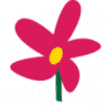 Blume Pediatric Dentistry