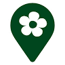 Blumen Brokmeier