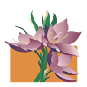 Blumen Nötzold - Niederlassung Wilkau-Haßlau