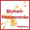 Blumen Pommerenke