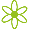 Blumen Buchegger