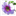 Blumenstube Schütz