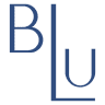 Blu on the Hudson