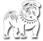 Bernardsville Middle School