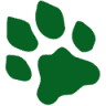 Bobcat Rentals