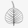 Bodhi Tree Yoga