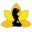 Hong Spa