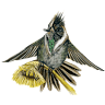 Bogota Birding & Colombia Wildlife Tours