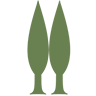 Bolgherello