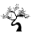 Bonanza Satrangi