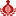 Apteka Ziołolecznicza Konwentu Bonifratrów