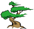 Bonsai Granada - Entrega en toda España
