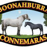 Boonahburra Connemara Stud