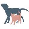 Borador Animal Hospital