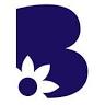 Bordine's of Grand Blanc *CLOSED FOR SEASON - We will re-open in Spring of 2024!