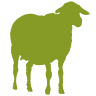 Borj Lella