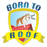 Born To Roof