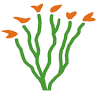 Borrego Outfitters