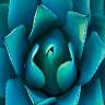 Bountiful Botanicals, Inc.