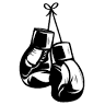 Boxe Événements 13 Club Boxing La Fare Les Oliviers Paca Provence