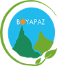 Boyapaz