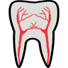 Allan Moskow DDS, PA