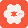 brabrabra