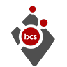 Braintree Courier Services