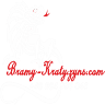 F. H. U. Bramy-Kraty-Ogrodzenia M. Rapacz