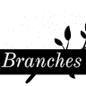 Branches Antiques and Vintage