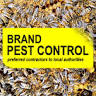 Brand Pest Control