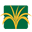 BrasilGrass - Grama Sintética Curitiba