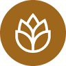 Brasserie Amara