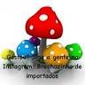 brechozinho de importados