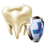 Bridge Dental