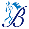 Zeb Christensen-Bridlewood Medicare Agent