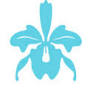 Advanced Dental Restorations: Emily Y. Chen, DDS