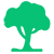 Brisbane Tree and Yard Specialists