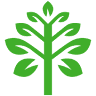 Organic Food Shop 