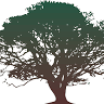 Brooksville Healthcare Center