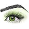 Brows Beauty Bar
