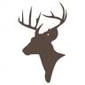 BrushBuck Wildlife Tours