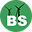 BS Power